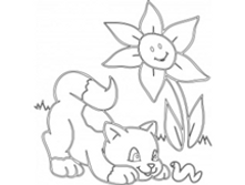 Image457.png
