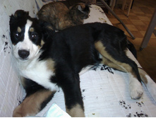 IMG 20160320 214509.jpg