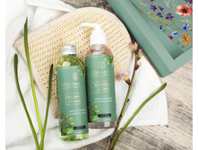 310 ��� ����� <<������ ������>> ���� �� ����� <<����� ������ � ������ ������>>