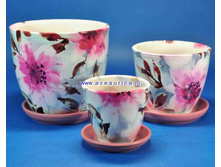 �������� (02/05) ���� �� 3-� *