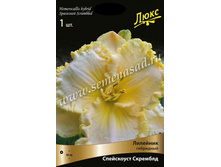 �������� ��������� ���������� ��������.jpg