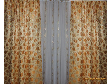 ������: ����