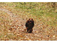 10702060 776357495764009 3890484240680859913 n.jpg