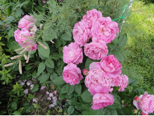 �������� �������