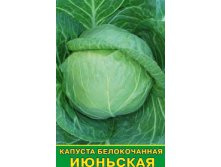 ������� �������� ������