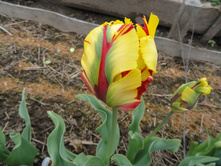 ����������