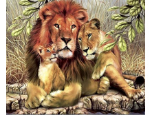 500x500.20236 50�60.jpg