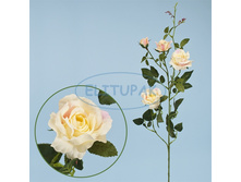 ��000101 �������� ���� ����� ֣���-������� 87 �� (12 ��. � ���.)(Mbox 144 ��.) 150�.jpeg