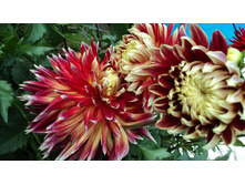 №56 ����� ������� � ������� ����������.jpg