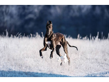 10955720 827329660666792 1171591541444233192 n.jpg