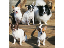 ������ 007.JPG