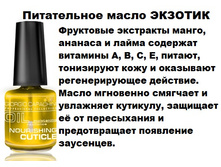 Capachini ����������� ����� ��� �������� 16 �� �������