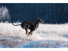 10986669 827329747333450 4290082830777097870 n.jpg