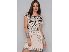 ������ 08.DR-161.png