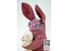 Dust bunnies-353.jpg