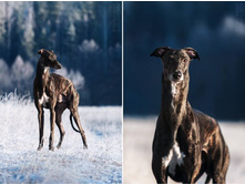 10362517 827329704000121 7135694724147270980 n.jpg