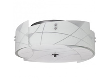 451010804 5100�.jpg