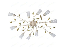 242015510 5400�.jpg