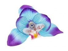 1413. �����. �����. ������ 9 ��. 29 ���.jpg