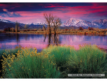 16318 ���� 2000 ������� ������������ �����.jpg