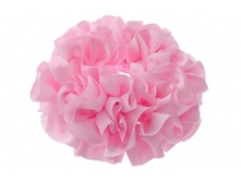 8881. �������. 24 ���.jpg