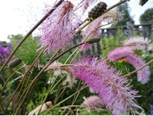 ����������� ������