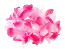 1752. �����. �������. ������ 6 ��. 24 ���.jpg