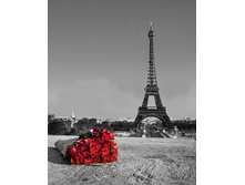 500x500.19807 40�50.jpg