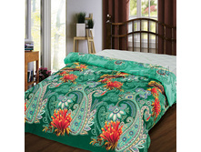 ������������ ����.jpg