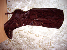 ������ ����� 38�