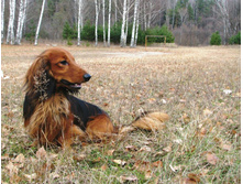 154585 776357589097333 5454221802246930360 n.jpg