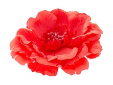 6929. �����. �����-�����. ������ 11 ��. 59 ���.jpg