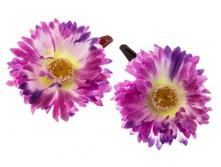 7702. �����. ������ 7 ��. 69 ���.jpg