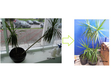 ������������ �������� �������.jpg