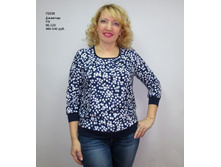 �2038 �����������