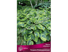 ����� ��������� �������� ���������������.jpg