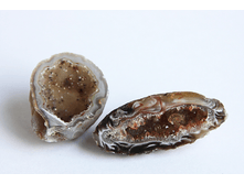 ���� ����� �����, �������:111023, 190�