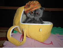 DSCN3248.JPG