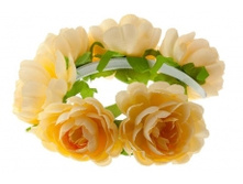 0974. �����. ������. ������ 7,5 ��. 209 ���.jpg