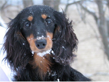 12524084 980602975339459 7243293401176220998 n.jpg