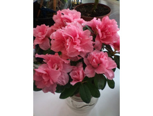 IMG 20160303 160941.jpg