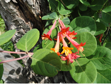 ��������� ������