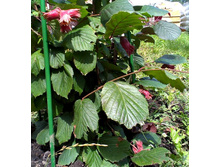 ���������� �����.jpg