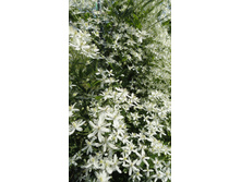 �������� ������