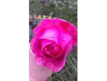 05.09.2015 �������