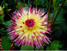 №34 ������� ������.jpg