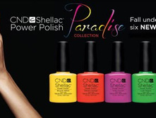 PARADISE COLLECTION