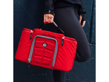(SPF) Innovator 300 Red/Grey (�������/�����) 4550,00
