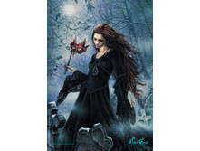 14147� ���� 500 �������-������, ������.jpg