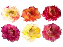 2379. �����. �����. 12 ��. ������ 12 ��. 429 ���.jpg